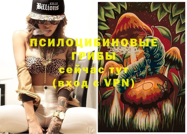 гидропоника Вяземский