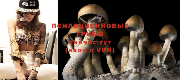 a pvp Горнозаводск