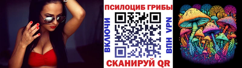 наркота  Звенигород  Псилоцибиновые грибы Cubensis 